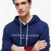 Broderad Tommy-logotyp, färgblockerad huvtröja