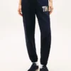 Flerfärgad joggingbyxa med Tommy-logotyp
