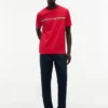 Hilfiger Signature Stripe Logo T-shirt