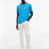 Hilfiger Signature Stripe Logo T-shirt