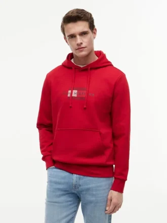 Hoodie med flagglogotyp