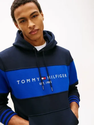 Hoodie med färgblock och logotyp