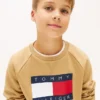 Raglan-tröja med Tommy Flag-logotyp för barn
