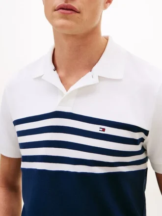 Regular Fit Colorblock Pique Polo