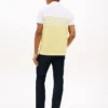Regular Fit Colorblock Pique Polo Regular Fit Colorblock Pique Polo