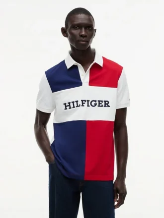 Regular Fit Colorblock Polo