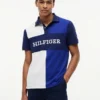 Regular Fit Colorblock Polo Regular Fit Colorblock Polo