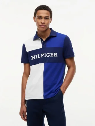 Regular Fit Colorblock Polo