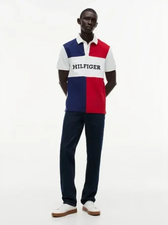 Regular Fit Colorblock Polo