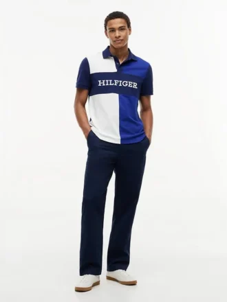 Regular Fit Colorblock Polo