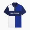 Regular Fit Colorblock Polo Regular Fit Colorblock Polo