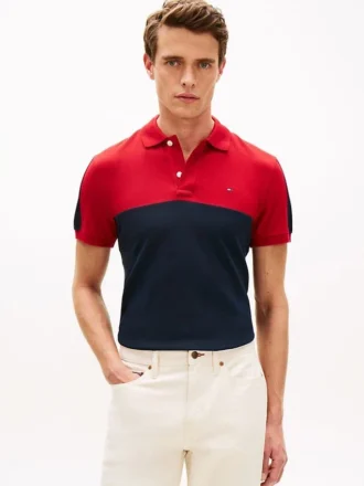 Regular Fit Colorblock Stripe Pique Polo