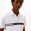 Regular Fit Embroidered Stripe Polo Regular Fit Embroidered Stripe Polo