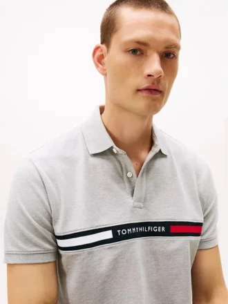 Regular Fit Embroidered Stripe Polo