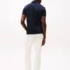 Regular Fit Embroidered Stripe Polo Regular Fit Embroidered Stripe Polo