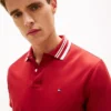 Regular Fit Jacquard Tipped Polo Regular Fit Jacquard Tipped Polo