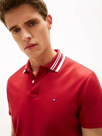 Regular Fit Jacquard Tipped Polo
