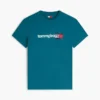 Tommy Jeans T-shirt med logotyp